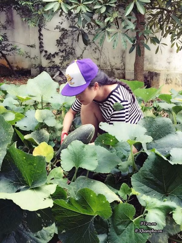 Nha vuon tho mong 3000m² nhu resort cua nu bien tap vien VTV xinh dep-Hinh-8