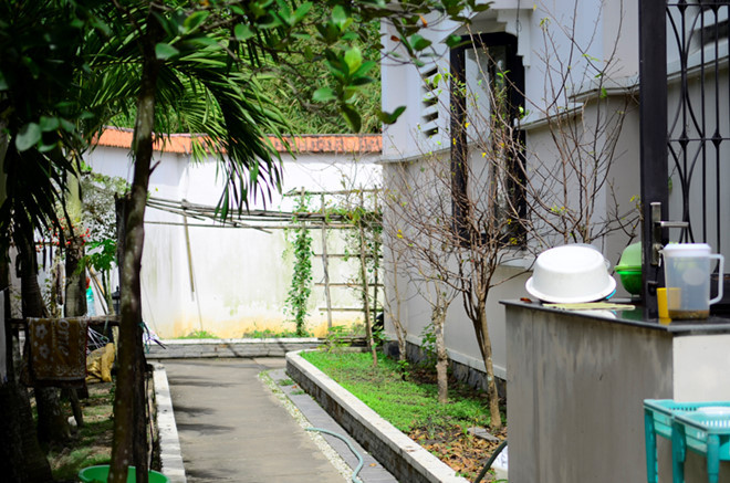 Phía sau gian bếp có lối đi riêng khá rộng, đây cũng là nơi Việt Trinh để trồng cây cảnh.