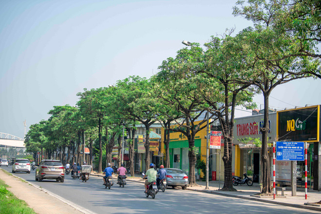 Nắng nóng ngột ngạt cùng với mùi hoa sữa khiến không ít người dân Thủ đô cảm thấy khó chịu.