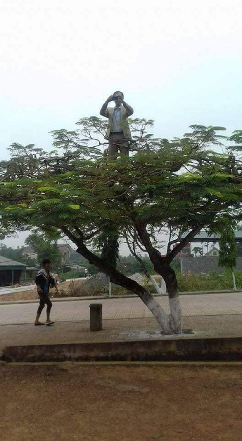 Thay giao co tam nhat nam leo cay chup anh toan canh giup hoc tro