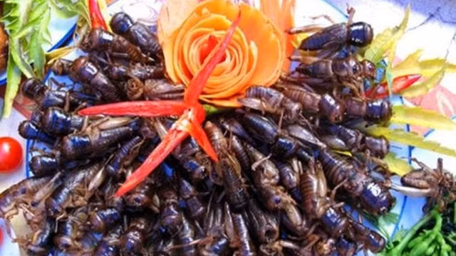 Soc phan ve khi an sa sung: Loi canh bao dung chu quan-Hinh-2