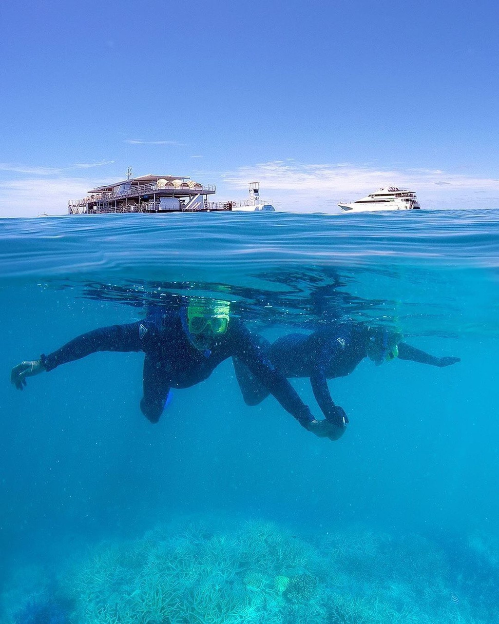 Vì vậy, bạn sẽ phải tạm dừng liên lạc với "thế giới" trong thời gian lưu trú tại khách sạn dưới nước này. Ảnh:Cruisewhitsundays.