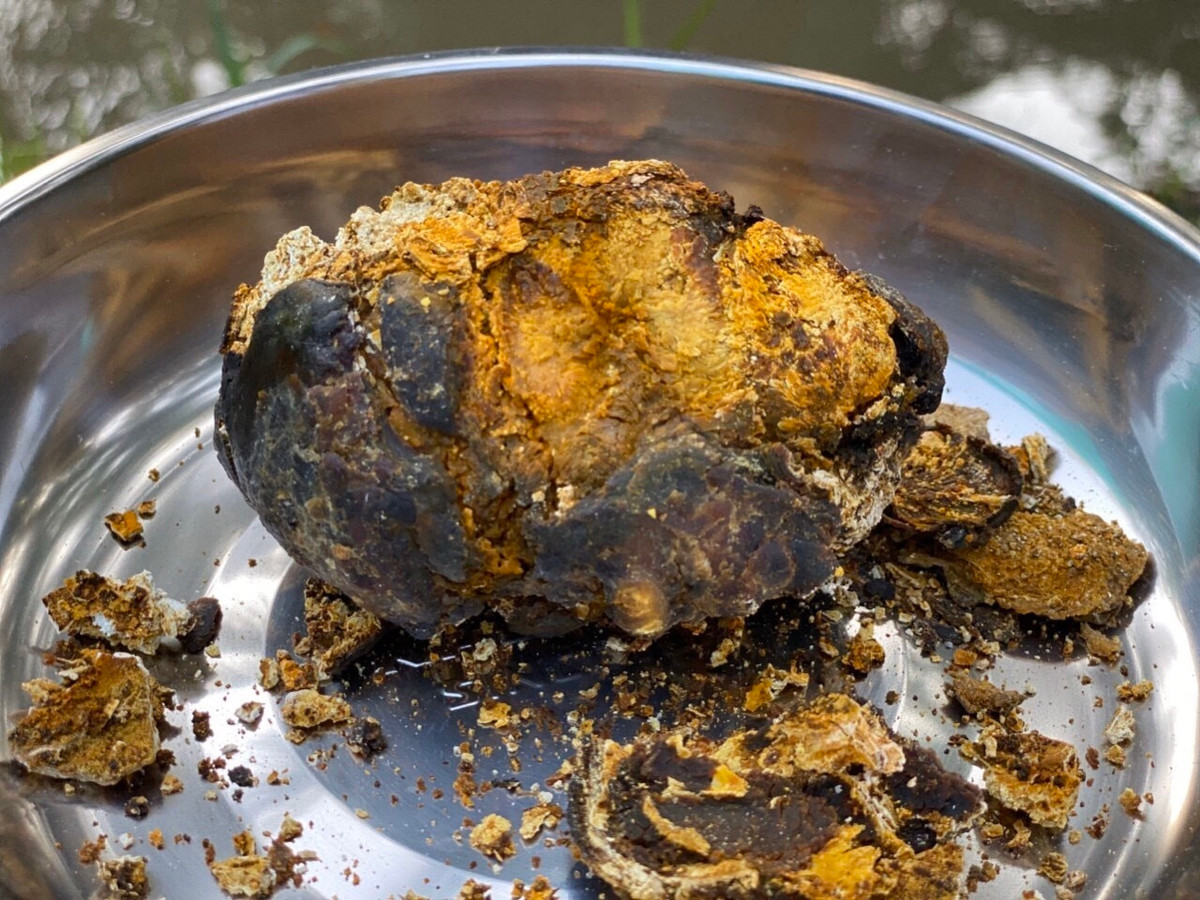 Bo cap dang so thanh dac san dat hang, vo lung mua dai chong-Hinh-3