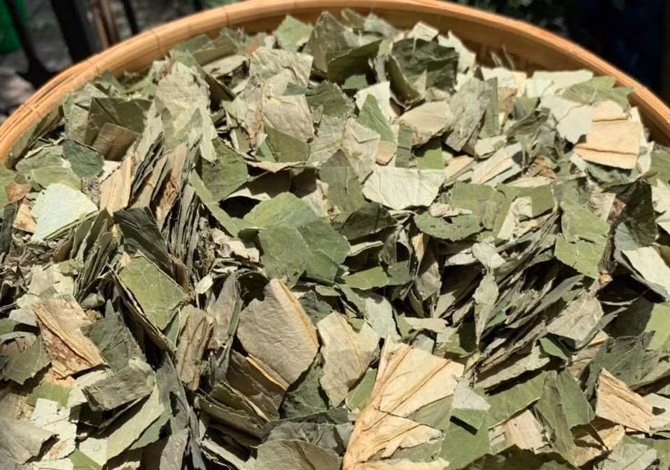 Bo cap dang so thanh dac san dat hang, vo lung mua dai chong-Hinh-6