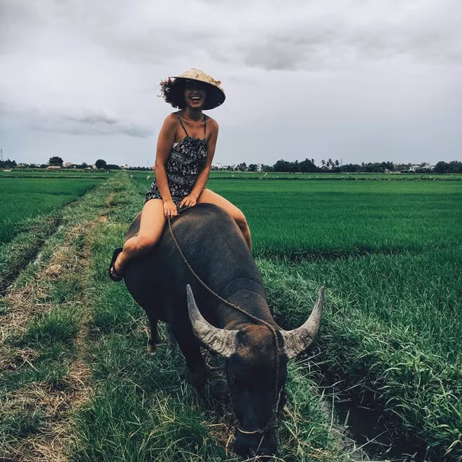 Eleni dành nhiều thời gian đi khắp từ Nam ra Bắc, từ các vùng miền núi đến đồng bằng. Những hình ảnh thơ mộng, đẹp mắt về dải đất hình chữ S cô ghi lại nhận được nhiều lời khen từ dân mạng.