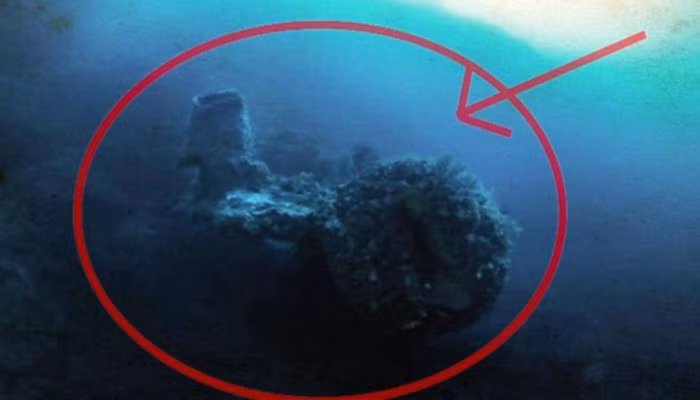 Khoảng 517 km2 xung quanh vùng biển Bermuda là nơi sinh sống của rạn san hô nguy hiểm. Những rạn san hô này nổi lên và ẩn dưới mặt nước, xé toạc thân nhiều con tàu đi qua. Tuy nhiên, ngày nay, với hệ thống GPS tiên tiến, người ta có thể dễ dàng điều hướng xung quanh các rạn san hô ẩn. Các tai nạn đã không xảy ra trong nhiều năm kể từ đó. Ảnh: Newshub.