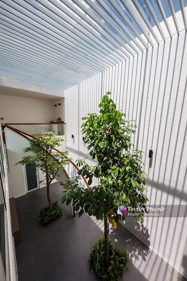 Doc dao ngoi nha om tron ca thien nhien, ngap tran nang gio-Hinh-5