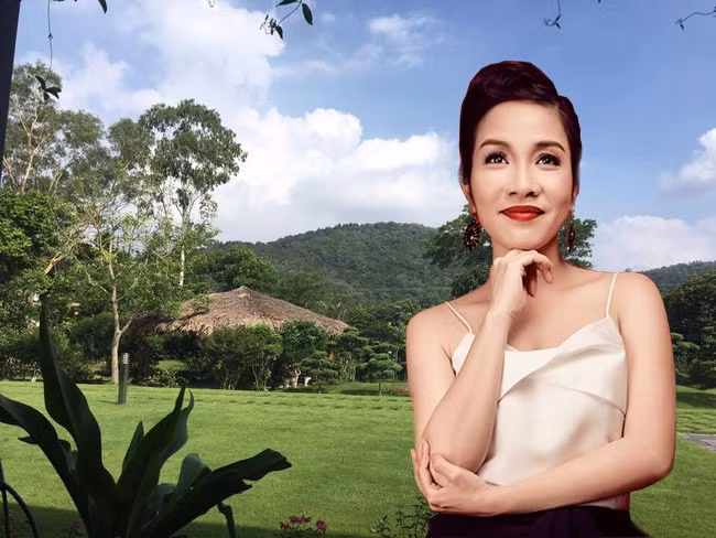 Diva Mỹ Linh: Năm 2009, gia đình diva Mỹ Linh, nhạc sĩ Anh Quân chuyển về khu biệt thự nhà vườn tại Sóc Sơn để sinh hoạt. Đây cũng là khu biệt thự gặp phải nhiều “sóng gió” trong thời gian gần đây.