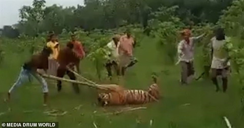 Ho du tan cong nguoi, chet dau don vi bi dan lang quay danh
