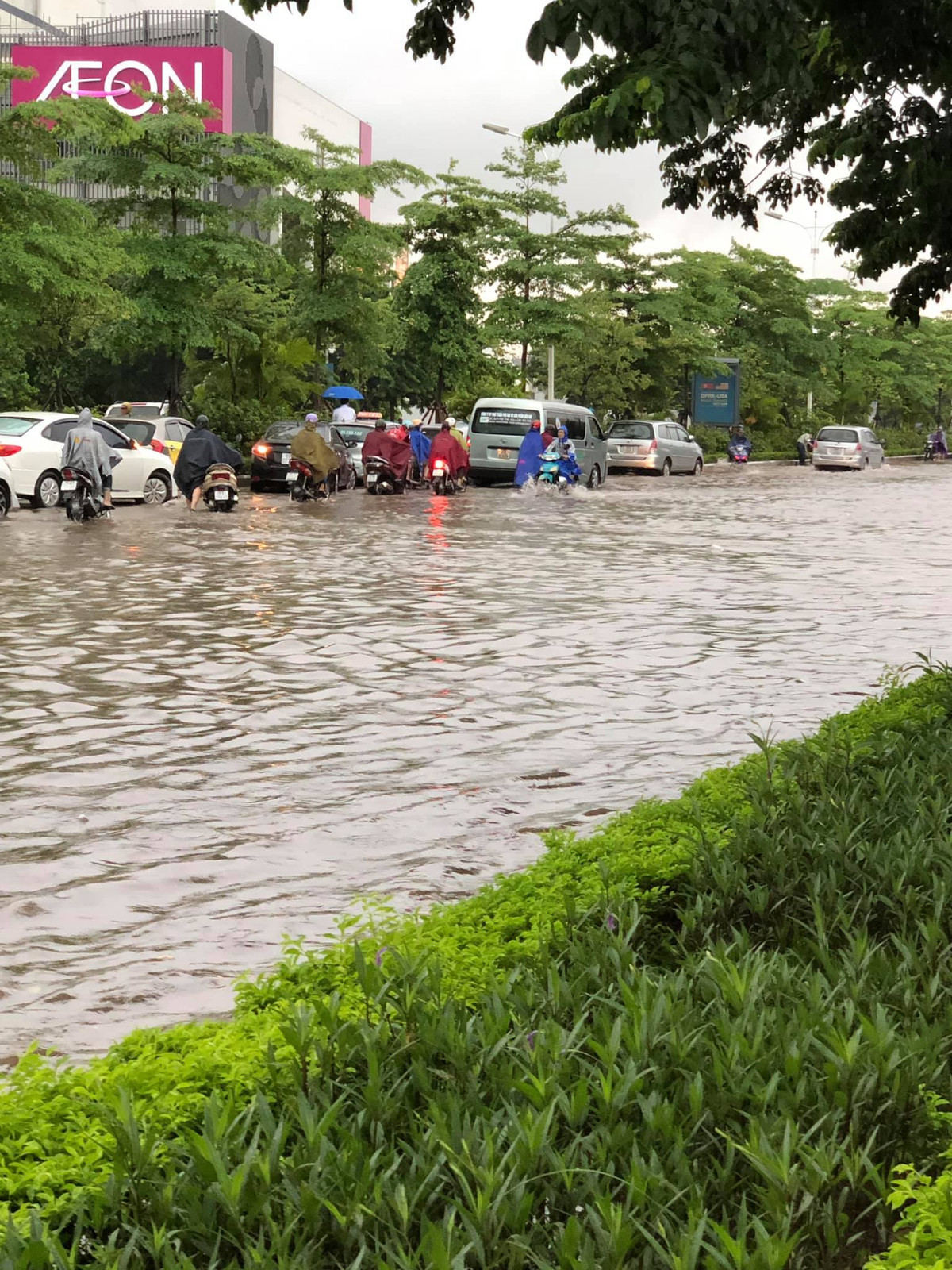 Nhiều con phố biến thành sông khiến phương tiện di chuyển khó khăn.