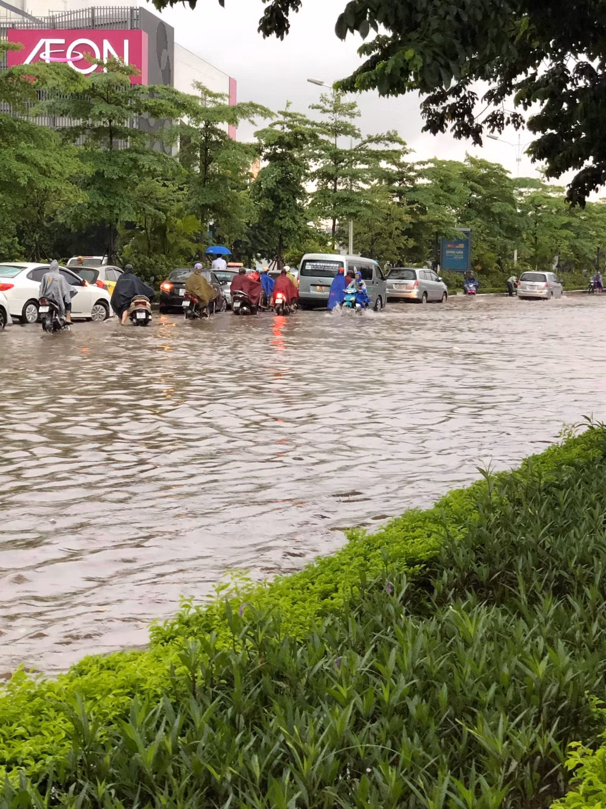 Nhiều con phố biến thành sông khiến phương tiện di chuyển khó khăn.