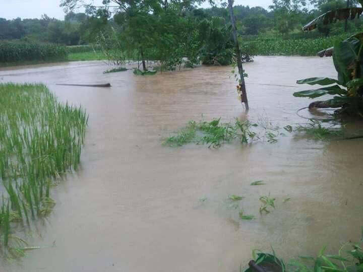 Từ nay đến hết ngày 12/9, ở Bắc Bộ có mưa, mưa vừa, riêng vùng núi và trung du có mưa to đến rất to và dông.