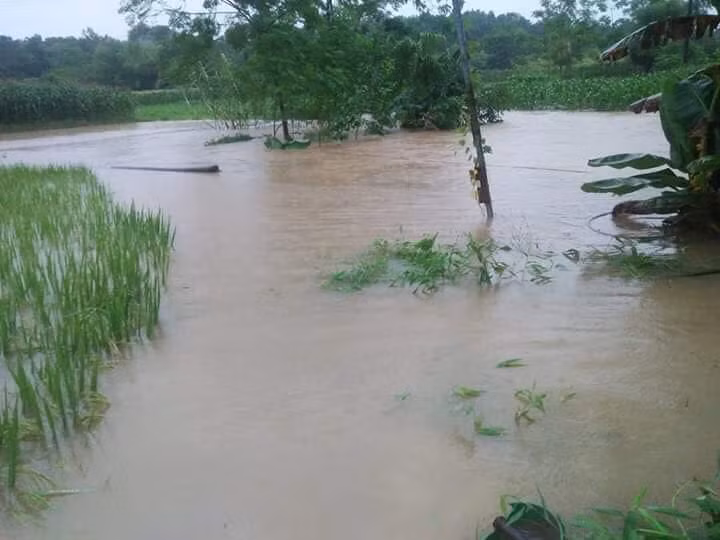 Từ nay đến hết ngày 12/9, ở Bắc Bộ có mưa, mưa vừa, riêng vùng núi và trung du có mưa to đến rất to và dông.