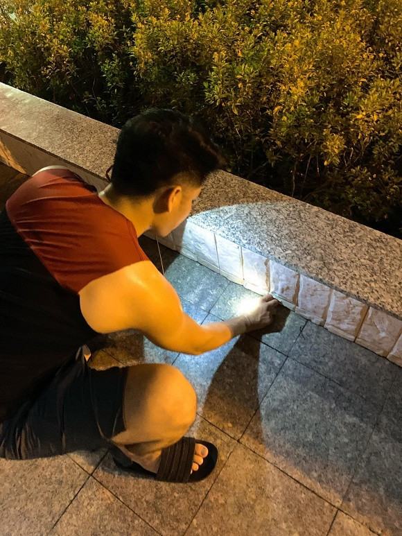 Qua ảnh Lê Phương chia sẻ có thể thấy, chồng cô và Cà Pháo rất hào hứng với trò chơi này và bắt được rất nhiều dế phía dưới chung cư đang sống.