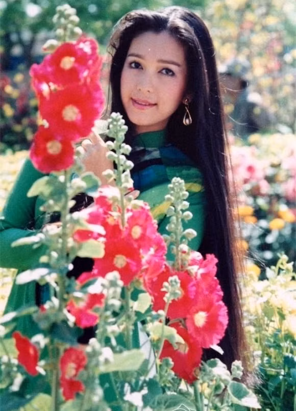 Diễm My sở hữu vẻ đẹp phóng khoáng. Khuôn mặt nữ diễn viên đậm chất châu Âu với sống mũi cao, thẳng, đôi mắt sâu hút hồn. Với thân hình nóng bỏng, cô cũng thường xuyên được các nhiếp ảnh gia thời đó chọn làm người mẫu áo tắm.