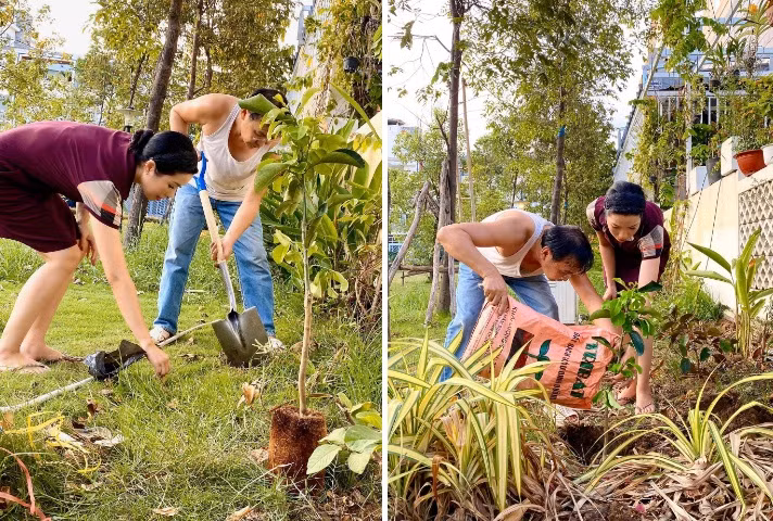 NSƯT Trịnh Kim Chi gây thích thú khi khoe ảnh cùng ông xã vào vườn trồng cây. "Hôm nay hai vợ chồng làm nông dân nhé, trồng cây góp phần làm xanh môi trường. Giờ ngồi đợi 2 năm nữa hái trái ăn. Mít, bưởi, ổi, vú sữa... coi bộ no nê à nha", cô viết.