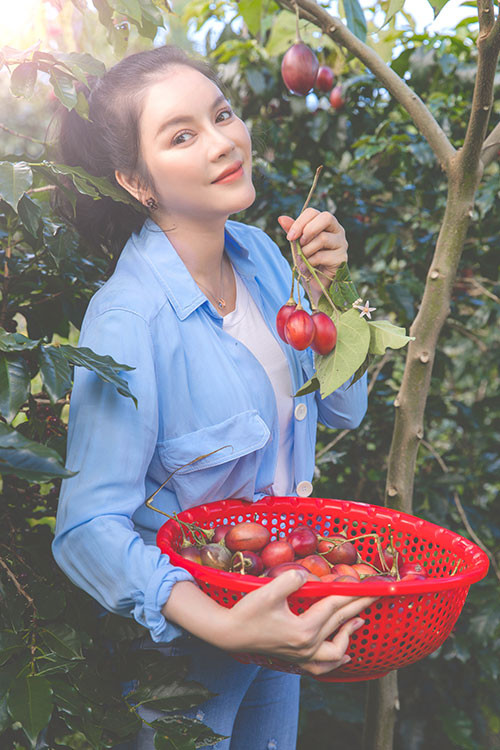 Dù bận rộn với công việc tại TP.HCM, Lý Nhã Kỳ vẫn dành thời gian lên Đà Lạt để chăm sóc nông trại.