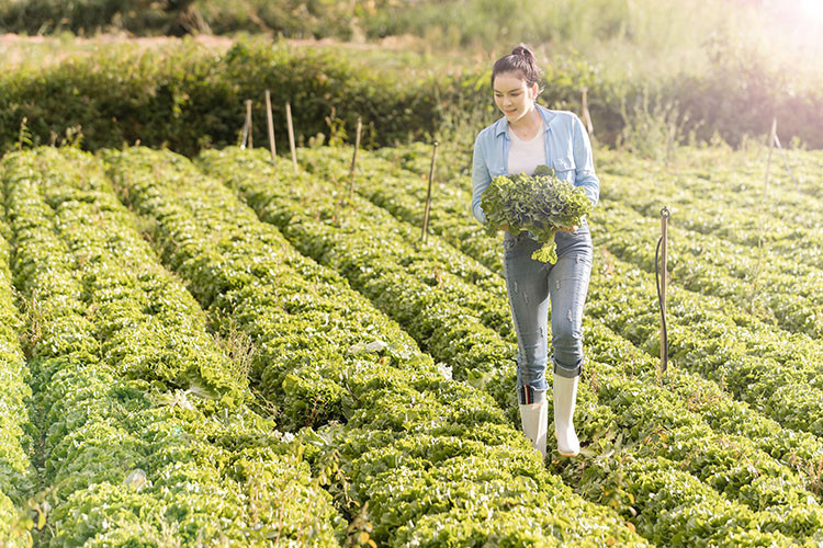Lý Nhã Kỳ là gương mặt hot của làng giải trí. Không chỉ năng nổ trong các hoạt động nghệ thuật, cô nàng còn mát tay kinh doanh.