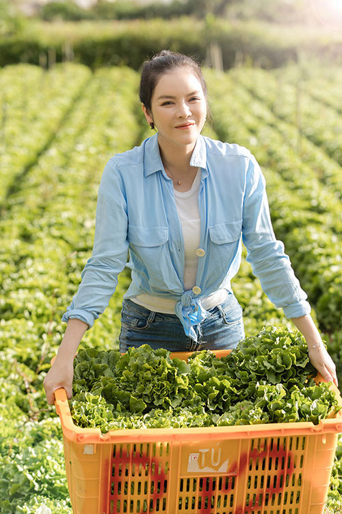 Đặc biệt, nữ diễn viên tậu đất ở Đà Lạt để làm trang trại, trồng rau, nuôi gà.