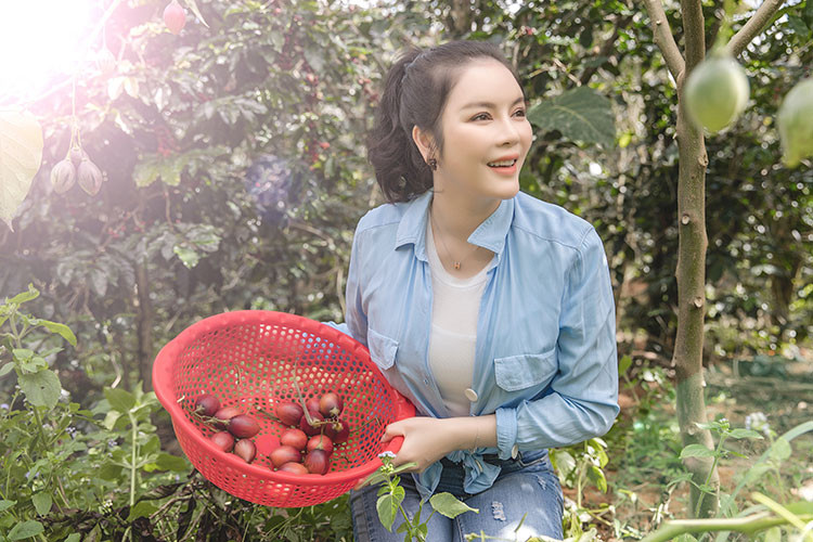  Lý Nhã Kỳ vừa khoe tự tay thu hoạch vườn cà chua thân gỗ và rau xà lách trên nông trại ở Đà Lạt.