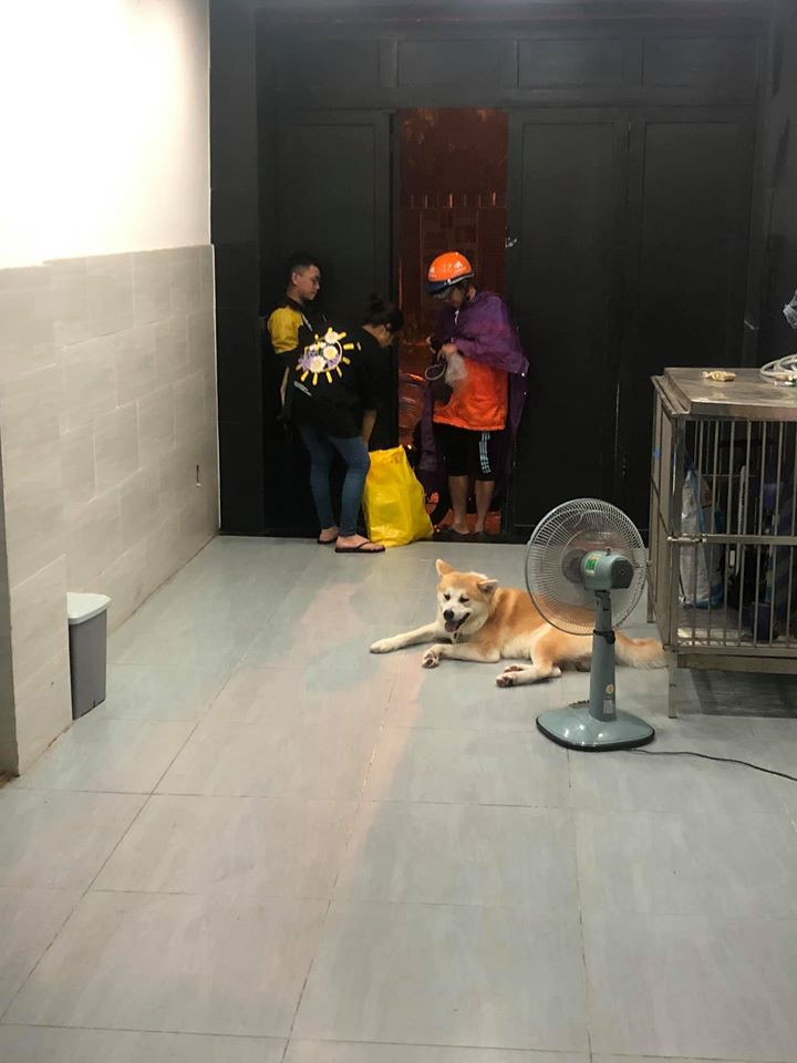 Lam Vy Da noi dien vi fan dat hang den nha bat co tra tien-Hinh-3