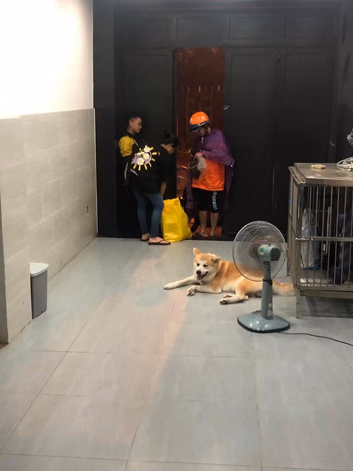 Lam Vy Da noi dien vi fan dat hang den nha bat co tra tien-Hinh-3