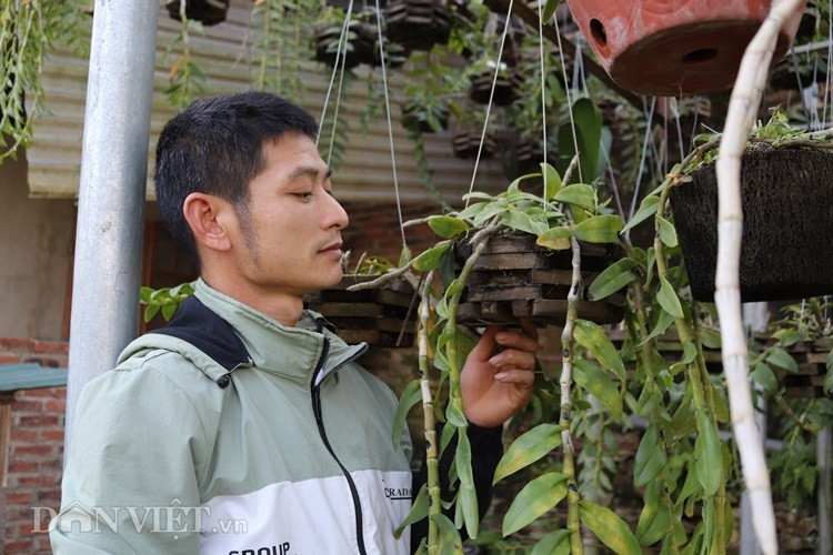 La ma hay: Cho lan rung 'uong' nuoc luoc du du thu hang tram trieu