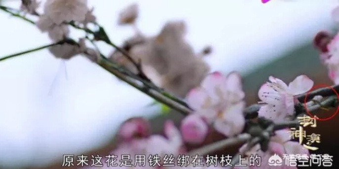 ... hay cảnh hoa đào giả bị ghép lộ liễu thế này gây cười cho người xem.