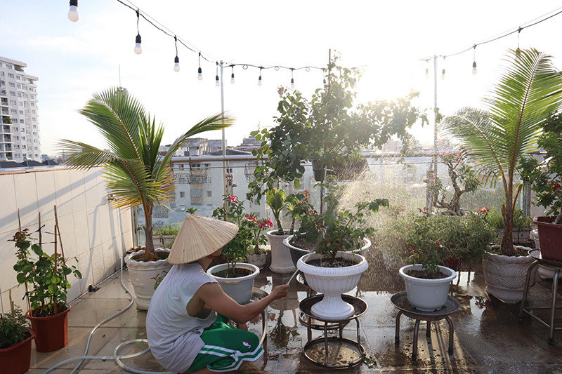 Phan Hiển chia sẻ: “Lúc đầu tôi có ý định sẽ trồng rau, cung cấp thêm thực phẩm sạch cho cả nhà. Tuy nhiên vì chưa bao giờ làm vườn nên khi trồng thử rau muống và bắp cải, tôi đã thất bại. Có một hôm khi đang lái xe trên phố, tôi thấy người ta bán cây hoa hồng bên lề đường nên đã mua 3 cây về chăm thử. Mẹ tôi và bà xã đều thích thú nên tôi quyết định trồng cả vườn hồng trên sân thượng. Đây không chỉ là nơi sinh hoạt chung cho gia đình mà hai vợ chồng thi thoảng cũng có thể hẹn hò riêng ở đây”.