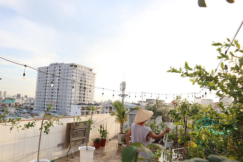 Ngoài ra, Phan Hiển cùng bố ruột cũng cùng nhau tạo nên mái vòm để trồng hồng leo và giăng đèn. Anh hy vọng sau 1-2 năm, dàn hoa hồng sẽ biến mái vòm thành cổng hoa rực rỡ. Theo tiết lộ của Phan Hiển, anh tốn hơn trăm triệu để trồng vườn hồng trên sân thượng.