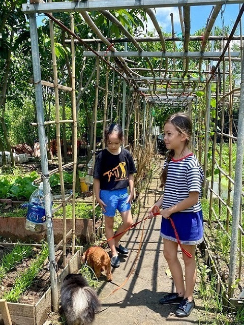 Cô cho con gái đi học kèn, sau đó về nhà, đi dạo quanh sân vườn cùng thú cưng.