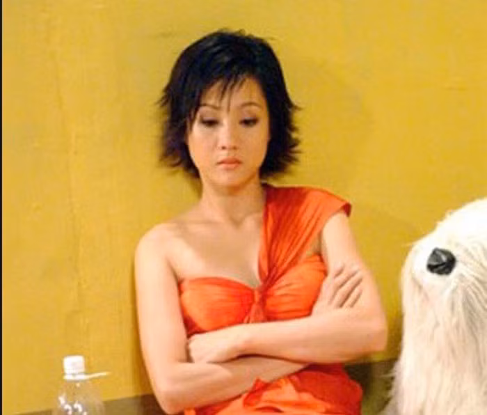 Ngo ngang ly do Ho Ngoc Ha khong duoc moi dong vai “gai nhay“-Hinh-2