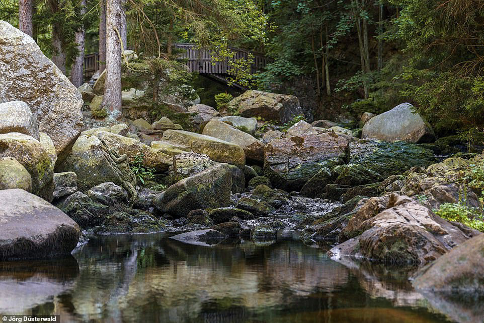 ... nhưng khi quan sát kỹ sẽ thấy có một cô gái.