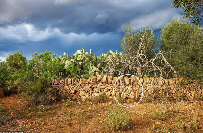 ... chắc hẳn không phải ai cũng dễ dàng tìm ra.