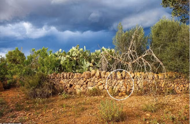 ... chắc hẳn không phải ai cũng dễ dàng tìm ra.