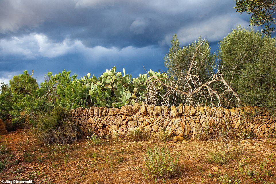 Bức ảnh chụp một bờ tường đá với vị trí người mẫu khỏa thân đang ngồi...