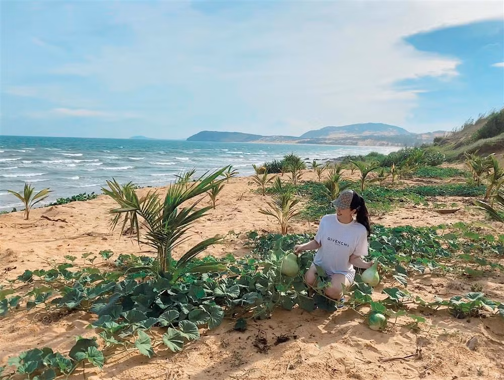 Sau điểm đến Nha Trang - Khánh Hòa, Bảo Thy và ông xã tiếp tục di chuyển đến Mũi Né - Phan Thiết trong chuyến du lịch dài ngày mừng sinh nhật tháng 6 của nữ ca sĩ. Tại đây, ngôi sao 32 tuổi cũng bật mí dự án đất biển mà gia đình cô đang sở hữu có diện tích khá rộng lớn.