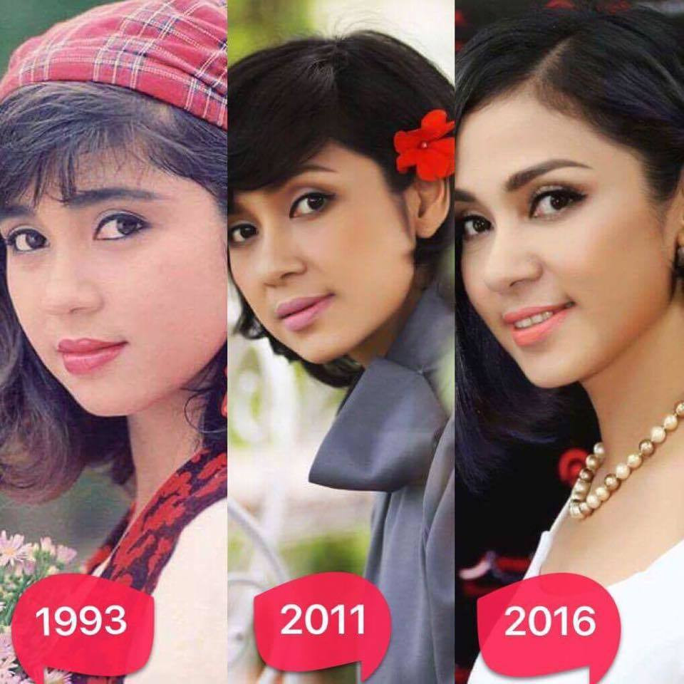 Nhận vai Bạch Cúc khi mới vừa 24 tuổi nhưng Việt Trinh đã thể hiện vô cùng xuất sắc diễn biến tâm lý của một cô gái từ khi còn là một nữ sinh có vẻ đẹp vô cùng nổi bật. Hình ảnh nữ chiến sĩ tình báo xinh đẹp, thông minh, dũng cảm đã trở thành “thương hiệu” riêng của cô mà khó có ai thay thế được. Vai diễn này gắn liền với tên tuổi của Việt Trinh, đến tận ngày hôm nay người ta vẫn gọi cô là “người đẹp Tây Đô”.