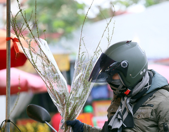 Người dân cho biết, chơi tuyết mai dịp Tết tuy khá tốn tiền nhưng có vẻ đẹp riêng.