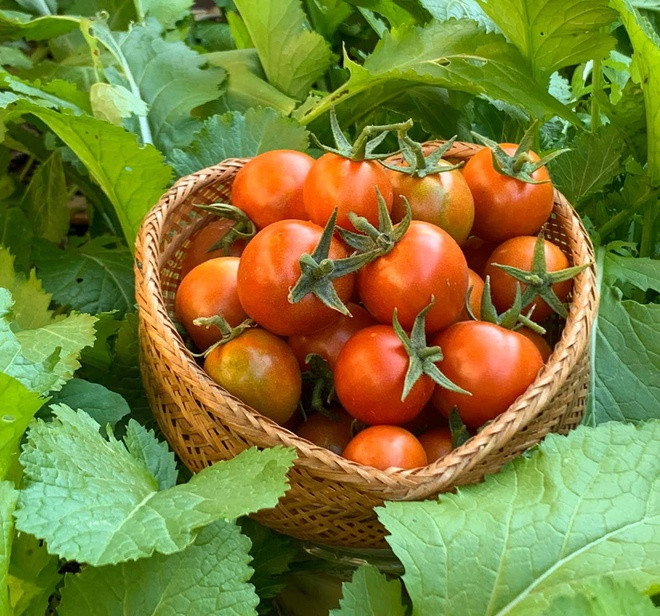 Phuong Thao - Ngoc Le ra sao sau 15 nam dinh cu tai My?-Hinh-3