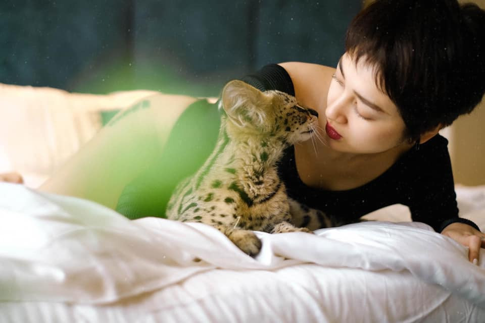 Bảo Anh từng vướng tin đồn tái hợp Hồ Quang Hiếu nhưng cả hai đều khéo léo phủ nhận. Hiện, nữ ca sĩ chưa chính thức công khai mối quan hệ tình cảm nào dù vướng nhiều đồn đoán.