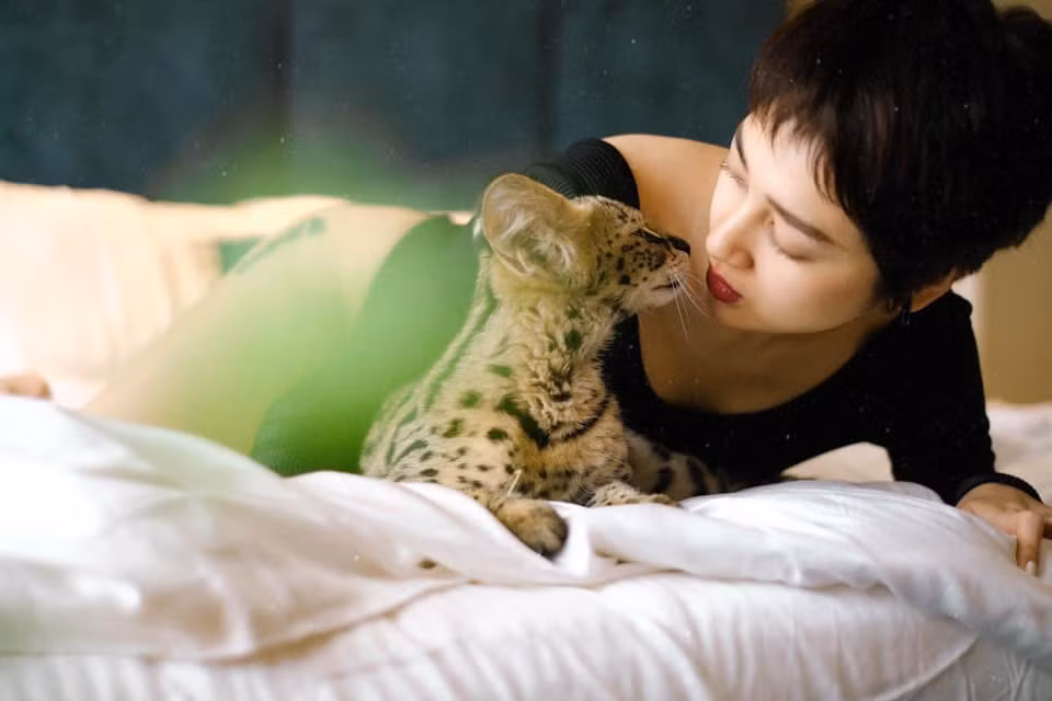 Bảo Anh từng vướng tin đồn tái hợp Hồ Quang Hiếu nhưng cả hai đều khéo léo phủ nhận. Hiện, nữ ca sĩ chưa chính thức công khai mối quan hệ tình cảm nào dù vướng nhiều đồn đoán.