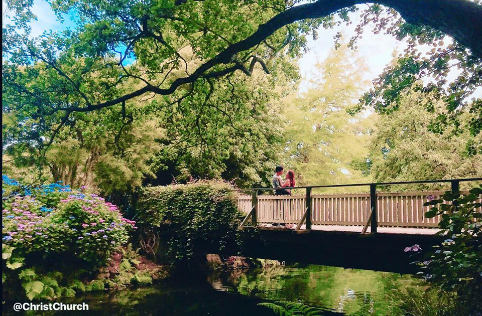 "Thật ngưỡng mộ, 20 năm vẫn mặn nồng, chúc vợ chồng anh chị mãi hạnh phúc", "Ngưỡng mộ tình yêu của hai anh chị", "Lãng mạn quá"... là những bình luận của fan dành cho cặp đôi.