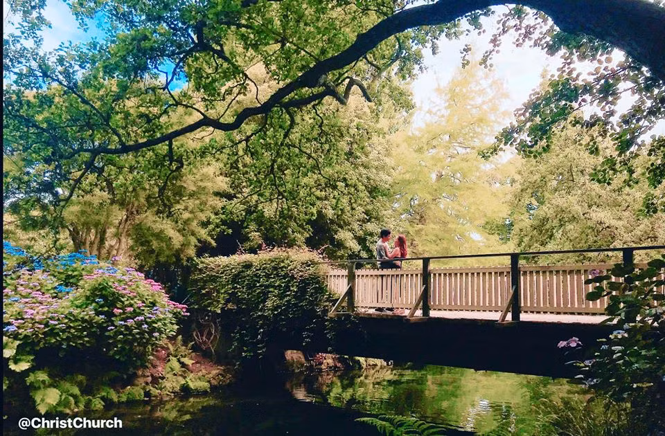 "Thật ngưỡng mộ, 20 năm vẫn mặn nồng, chúc vợ chồng anh chị mãi hạnh phúc", "Ngưỡng mộ tình yêu của hai anh chị", "Lãng mạn quá"... là những bình luận của fan dành cho cặp đôi.