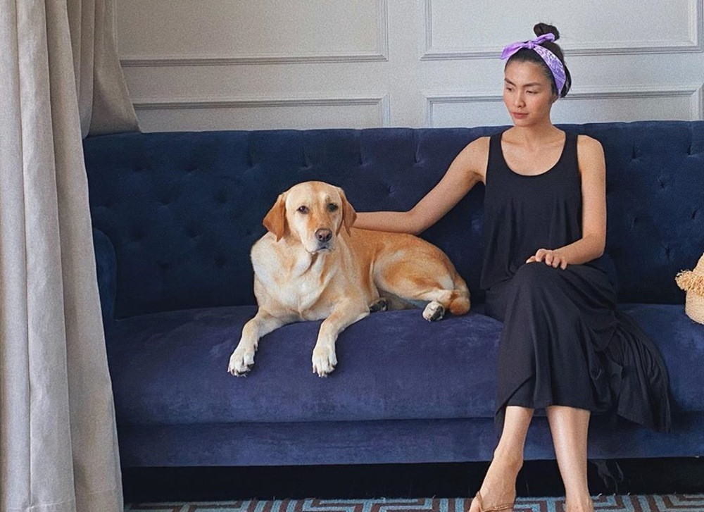 Trên trang cá nhân, Tăng Thanh Hà thường xuyên đăng tải hình ảnh về cuộc sống cá nhân của mình. Thời gian gần đây, nữ diễn viên liên tục xuất hiện với thân hình gầy gò trông thấy.