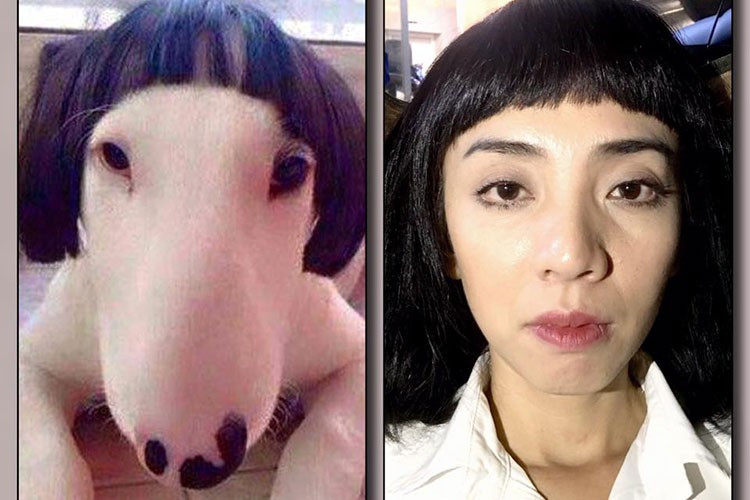 Trấn Thành rất "chịu khó" bỏ công tìm kiếm, rồi cắt ghép ảnh chỉn chu với mục đích "dìm" đồng nghiệp.