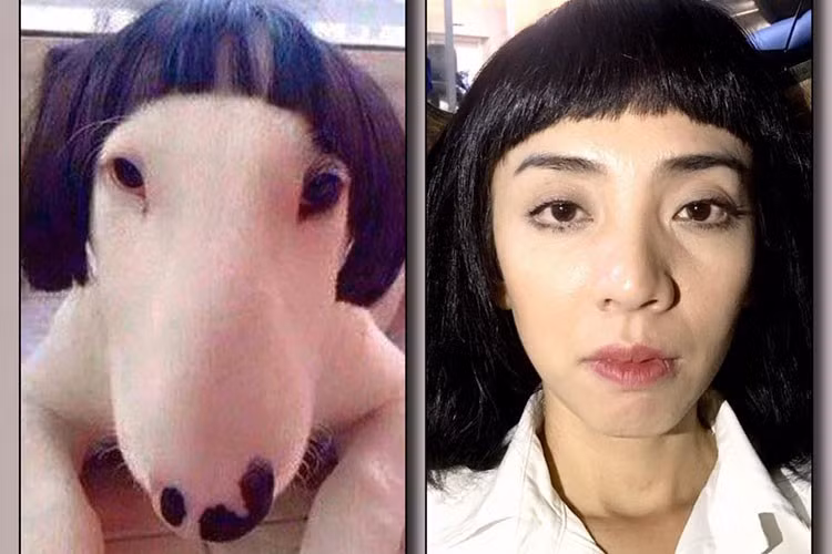 Trấn Thành rất "chịu khó" bỏ công tìm kiếm, rồi cắt ghép ảnh chỉn chu với mục đích "dìm" đồng nghiệp.