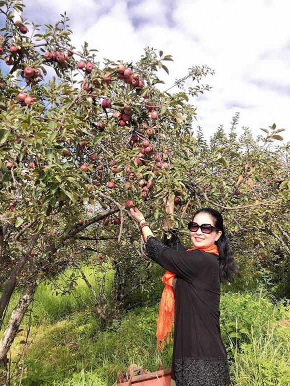 Chị thường cùng chồng đi du lịch trong và ngoài nước.