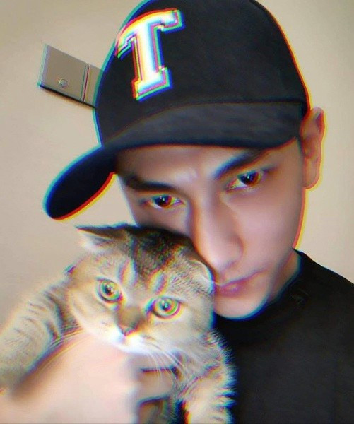 Bảo Anh thậm chí từng đăng ảnh đàn anh chụp cùng mèo cưng của mình.