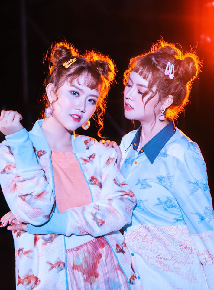 Trước ồn ào, cặp chị em Bảo Anh - Bảo Trân từng bị so sánh với cặp chị em song sinh Lệ Nam - Nam Em. Chính điều này khiến, cặp song ca không mấy hài lòng.